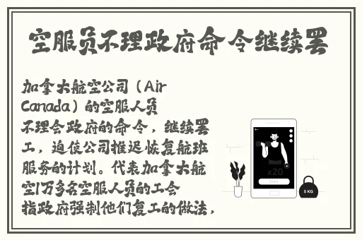善良的小峓子2韩剧中文